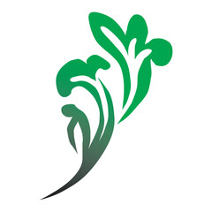 Abstract Vintage Botanical Vector Ornament Set