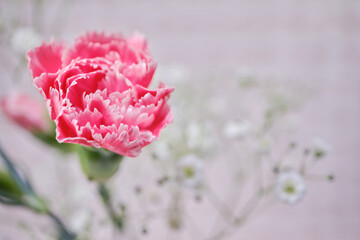 綺麗なカーネーションと可愛いかすみ草の花