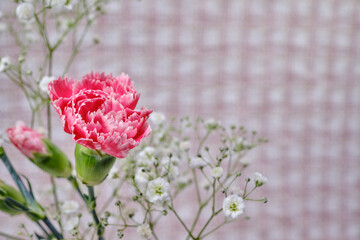 綺麗なカーネーションと可愛いかすみ草の花