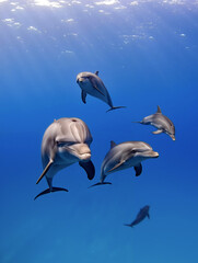 Obraz premium Pod of dolphins swimming gracefully beneath the surface in vibrant blue ocean waters showcasing marine wildlife behavior. Generative AI.