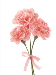 クラシックで上品な雰囲気のピンクのカーネーションと薄いサーモンピンクのリボン