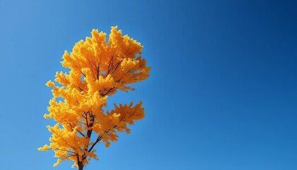 A solitary, brightly colored tree stands tall with its leaves reaching towards a clear blue sky,  reaching,  bright