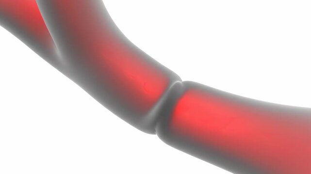 This 3D animation visualizes a red electrical signal propagating through a biological tube that constricts and relaxes, representing nerve impulses or vascular activity.