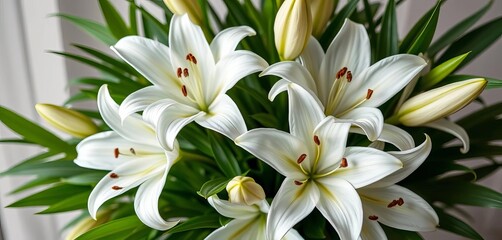 Obraz premium Elegant bouquet of pristine white lilies, lush greenery, still life, botanical