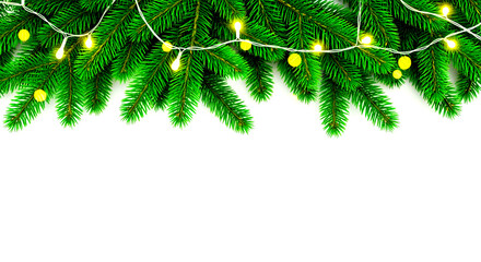 Green fir tree branches with yellow string lights on a white background fir branches christmas