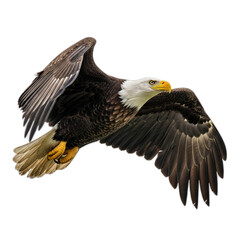 Obraz premium Bald eagle soaring isolated on transparent background