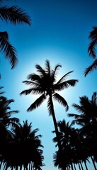 Monochromatic palm silhouettes against a bright sky,  palm trees,  sky