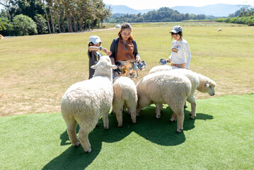 Family Feeding Sheep on a Sunny Day