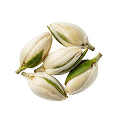 Dried White Tea Buds Isolated Botanical Element
