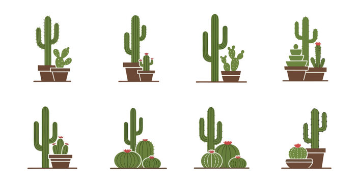 set of cactus plants vector