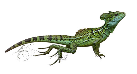 A vibrant green lizard illustration showcasing texture and detail on a clean background from a side viewpoint