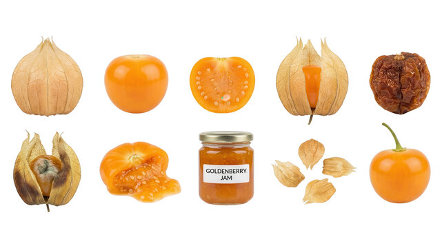 Goldenberry Stages: Fresh, Dried, Jam - Cape Gooseberry