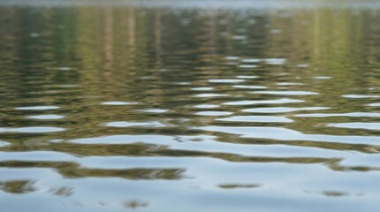 Rippling Water Surface Reflecting Trees and Sky in Natural Light