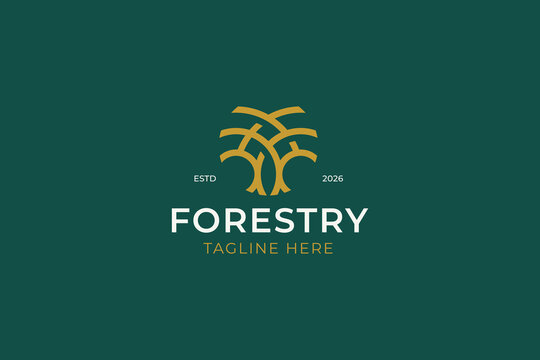 Abstract Minimalist of Brand and Wood Oak Tree or Banyan Tree Logo Luxury Concept Forestry