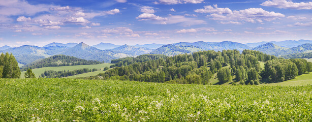Panoramic view of green meadows and hills on a summer day, cloudy sky
