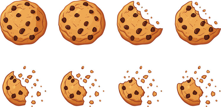 Set of delicious chocolate chip cookies with bite marks and crunchy crumbs, sweet baked biscuits collection for bakery menu and dessert design.