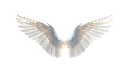 Obraz premium White Dove Wings Spread Wide Open.