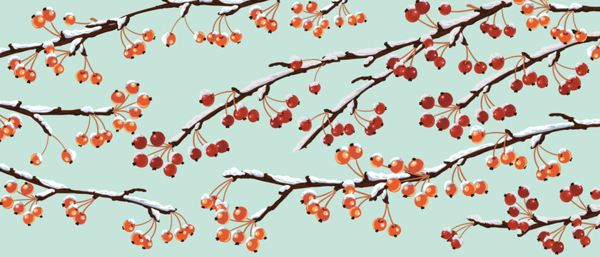 vector drawing apple tree branches with red fruits and snow in winter, natural background, hand drawn illustration