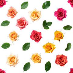 Rose seamless element isolated on white background.