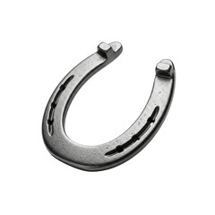 Metal Horseshoe