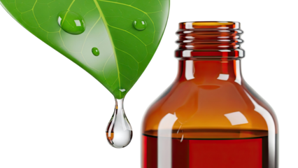Essential oil extraction: Leaf with water drop and amber bottle