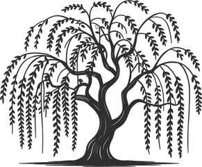 Elegant weeping willow tree vector illustration featuring artistic hanging branches and lush foliage isolated on a clean white background for nature design © MDRONI