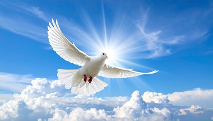 A white dove flies towards the sun surrounded by a blue sky and fluffy clouds