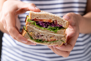 Sandwich tuna mayonnaise with whole wheat bread, lettuce, carrot, tomato and purple cabbage holding by woman hand