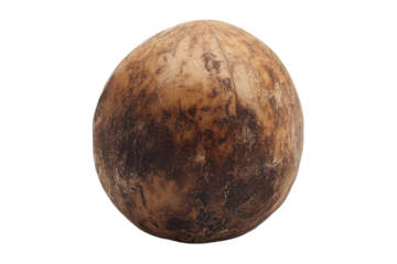 Whole macadamia nut isolated on transparent background. Fresh macadamia nut isolated on white background.