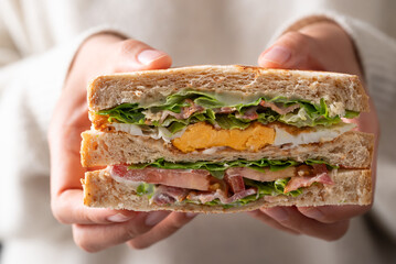 Whole wheat bread sandwich with bacon, lettuce, tomato and fried egg holding by woman hand