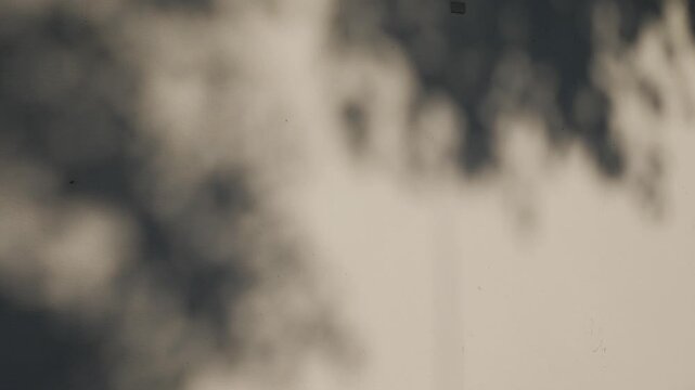 Zen Komorebi: Minimalist Tree Branch Shadow on Neutral Wall Background Serene and Tranquil Atmosphere