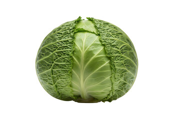 Fototapeta premium Fresh Savoy Cabbage Head Isolated on White Background