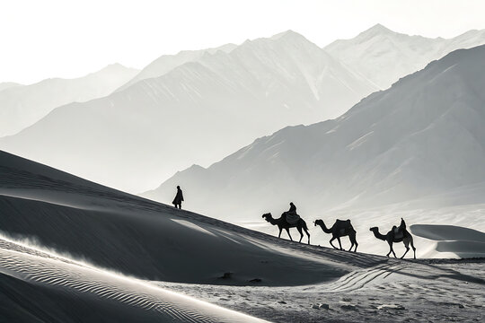 Nubra Valley dunes and camel silhouettes minimalist scene
