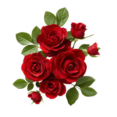 Obraz premium A beautiful bouquet of vibrant red roses with green leaves isolated on transparent background