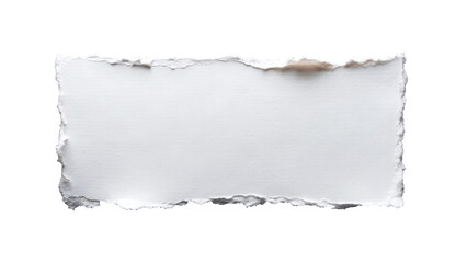 Fototapeta premium Blank white paper strip with rough torn edges on transparent background