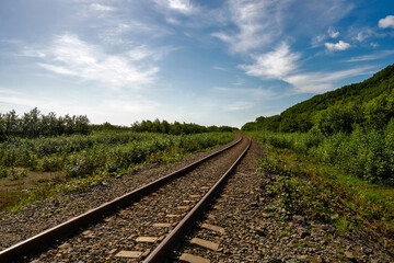Obraz premium Railway tracks curving through summer greenery under sky. Nature of Sakhalin Island