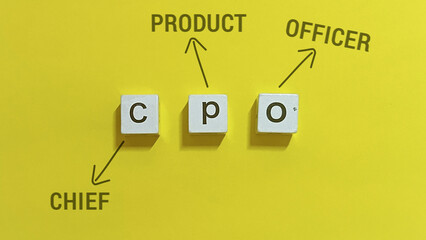 Defining the pivotal executive position responsible for product vision and strategic direction, emphasizing leadership in innovation and market growth and corporate strategy