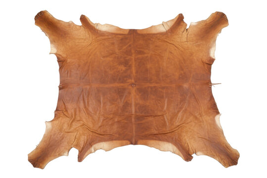 Raw Animal Hide Leather Skin Texture Background Natural Material