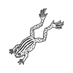 Obraz premium vintage style frog sketch with spotted pattern and stripes