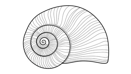 Obraz premium Intricate black and white line drawing of a spiral snail shell showing detailed circular patterns on a white background.