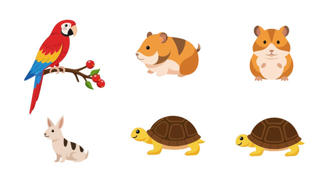 Colorful set of cartoon animals including parrot dog hamsters and turtles isolated on white background for various uses
