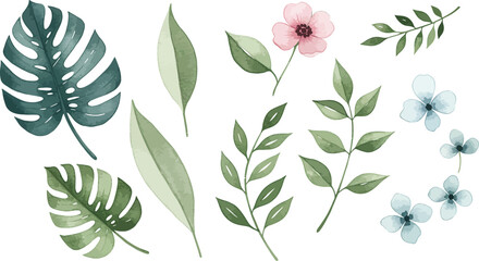 Fototapeta premium Watercolor illustration of various leaves and flowers on a white background