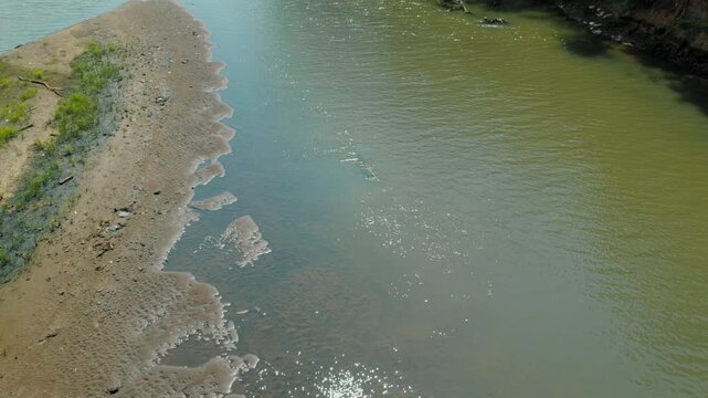 Drone view of crocodile swimming in wide Tarcoles River in Costa Rica