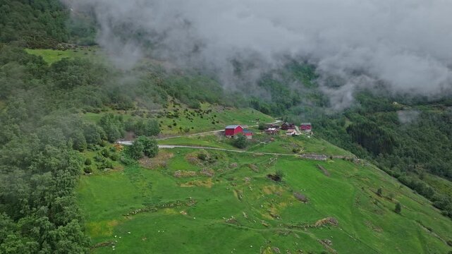 Undredal village above Aurlandsfjord, Norway. The hillside farms with red barns sit on steep green slopes overlooking the fjord, a classic rural landscape in the Aurland area.