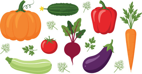 Fresh vegetable illustration set with pumpkin cucumber tomato beet eggplant carrot and herbs for healthy food design, cooking graphics, and flat vector art © Mostafijur