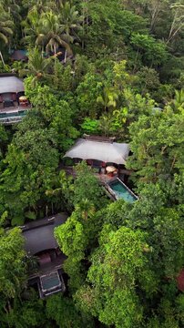 Vertical aerial view of Capella Ubud revealing glamping style villas hidden beneath forest canopy with private swimming pools, lush greenery and jungle surroundings, inside Bali tropical landscape