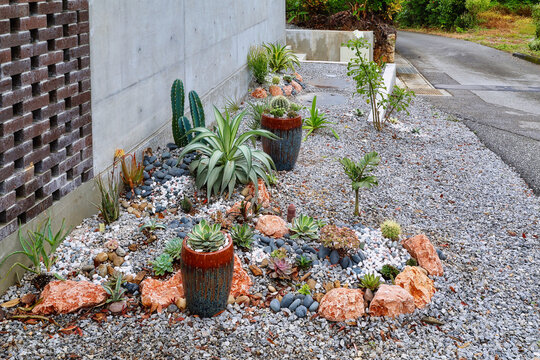A dry xeriscape garden design in front of a modern concrete home in Okinawa, featuring cacti, aloe, agave and other succulent plants