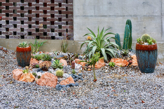 A dry xeriscape garden design in front of a modern concrete home in Okinawa, featuring cacti, aloe, agave and other succulent plants