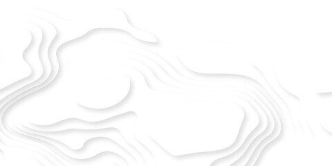 white topography map geography relief diagram texture design. Topography white background and black line world map texture design. Lines Topographic contour lines grid map seamless pattern.