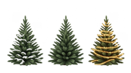 Three Snowy Pine Trees with Christmas Lights isolated isolated on a transparent background